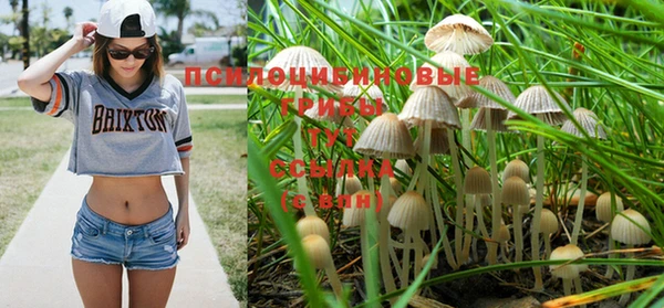 круглые Армянск