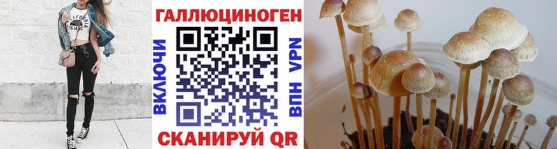 darknet состав  закладка  Минеральные Воды  Галлюциногенные грибы мицелий 